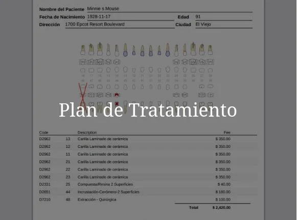 Plan de Tratamiento Odontológico